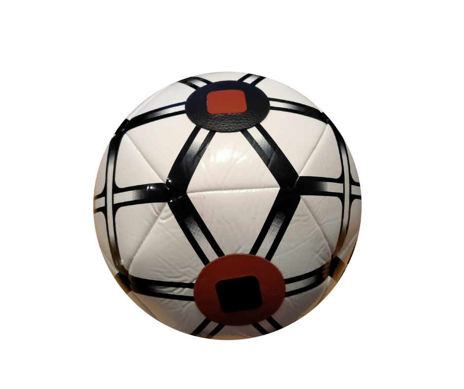 Punch Pro training ball