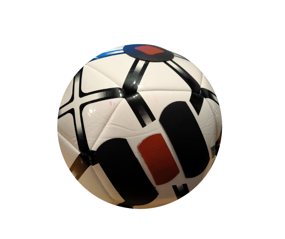 Punch Pro training ball