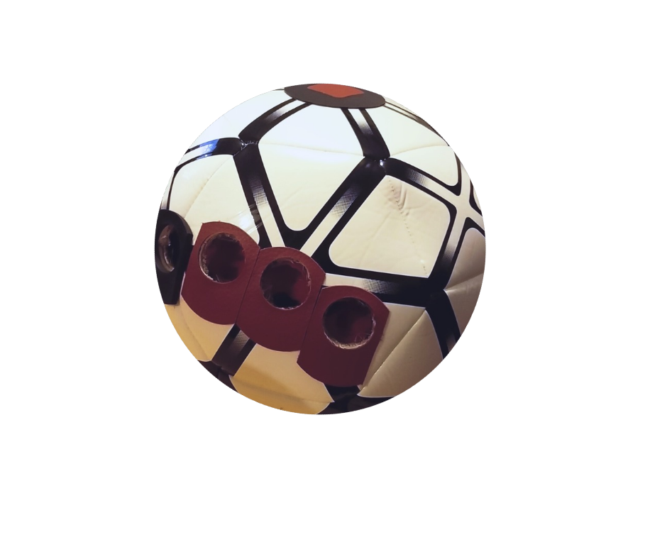 Punch Pro training ball
