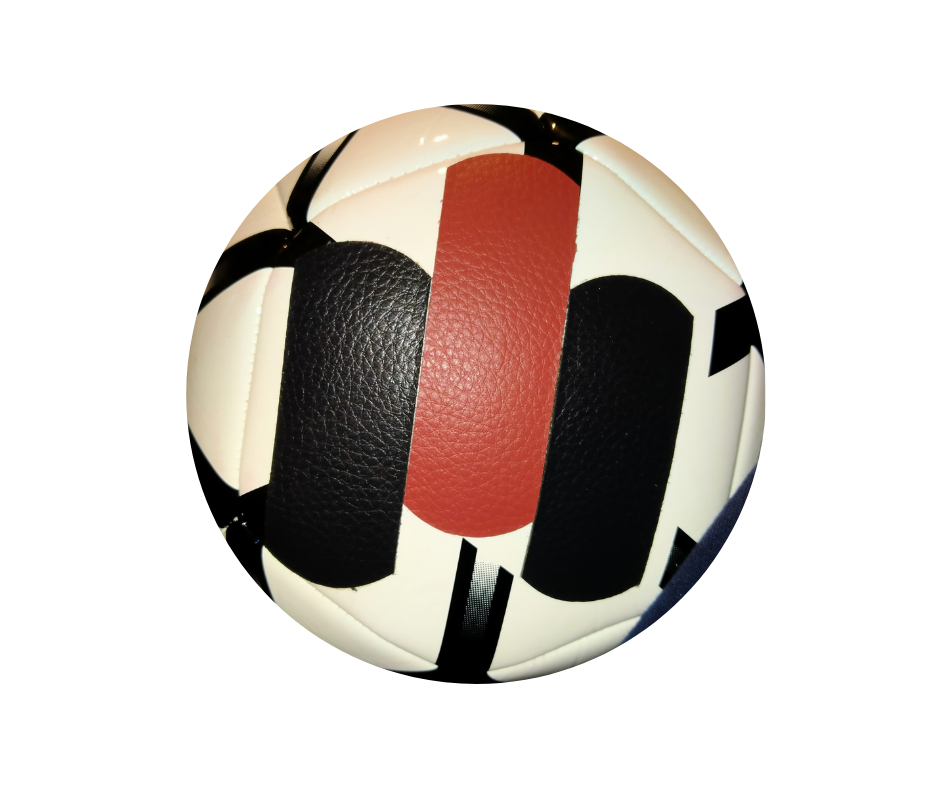 Punch Pro training ball