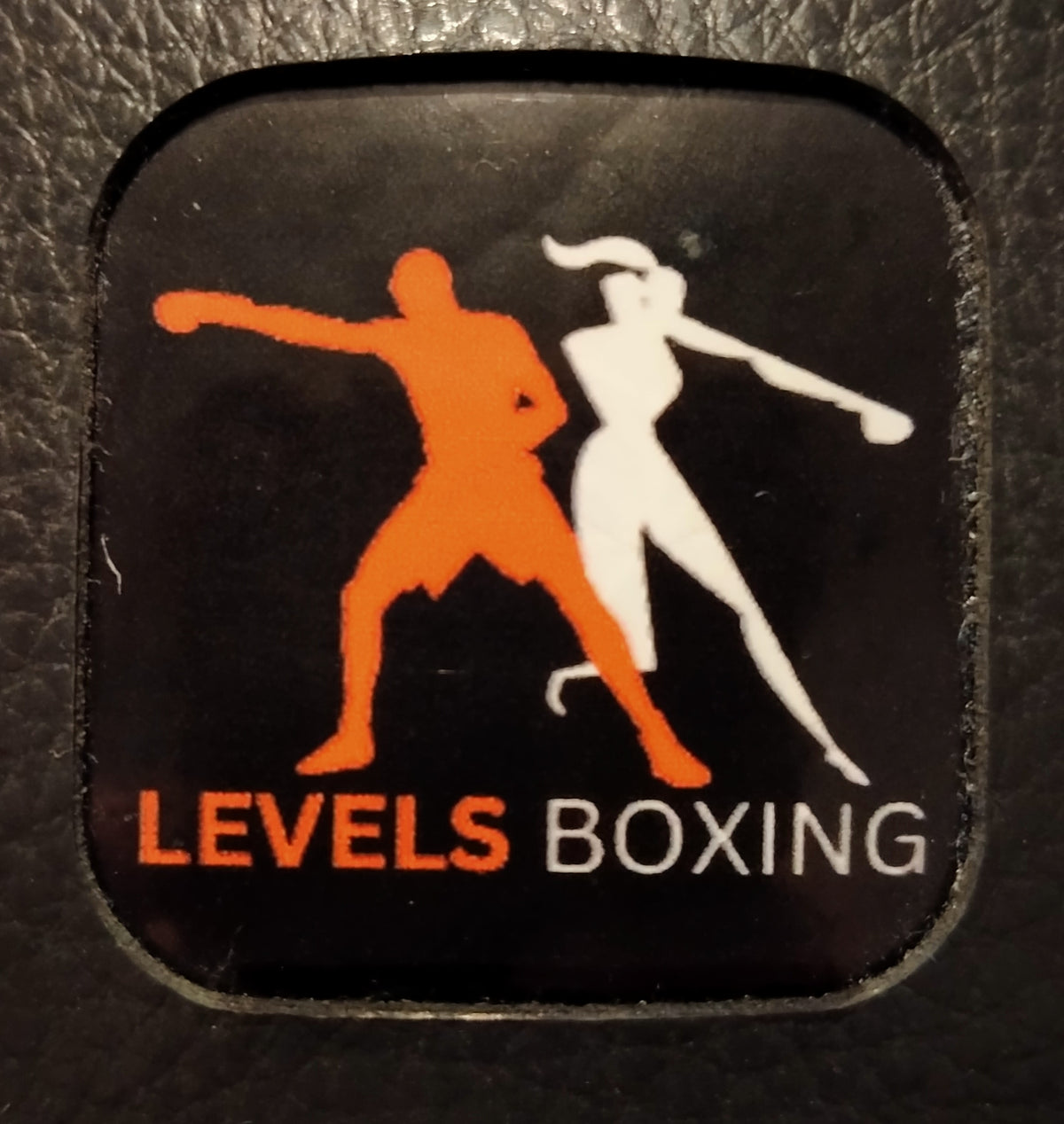Punch Pro training ball